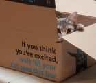 The Box Says It All